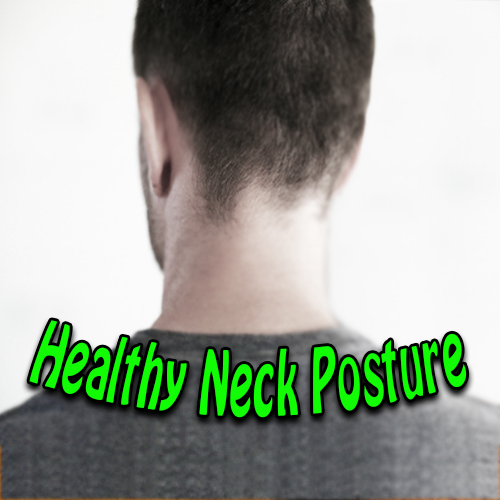 Healthy Neck Posture Muscles Connected To Skull Natural Position