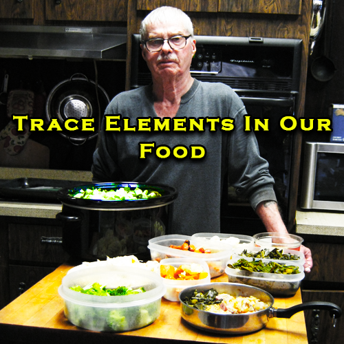 Trace Elements in our Food