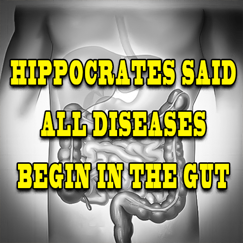 Hippocrates said All Diseases Begin in the Gut