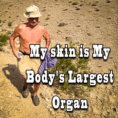 My Skin is My Body's Largest Organ