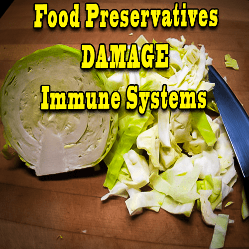 Food preservatives Damage Immune systems