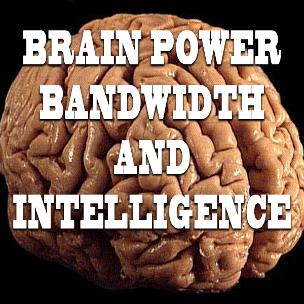 Brain Power, Bandwidth and Intelligence
