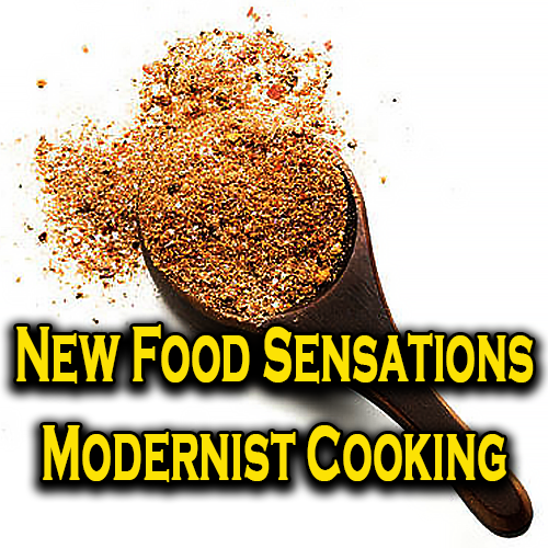 New Food Sensations Modernist Cooking