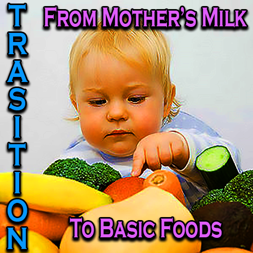 Transition From Mother's Milk To Basic Foods