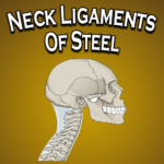 Neck Ligaments Of Steel