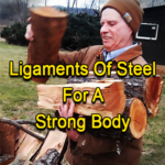 Ligaments Of Steel For A Strong Body