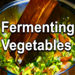 Fermenting Vegetables