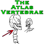 The Atlas Vertebrae