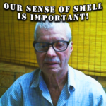 Our Sense Of Smell Is Important