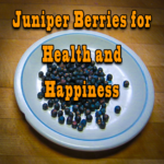 Juniper Berries for Health and Happiness