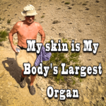 My skin is My Body's Largest Organ